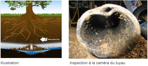 entree eau égout écrasé