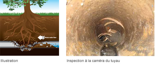 entree eau égout perforé